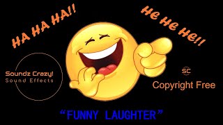 Funny Laughter  Hysterical Laughing Sound Effects No Copyright [upl. by Ennaoj689]