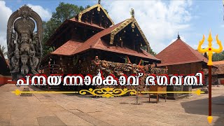 വലിയ പനയന്നാർകാവ് ഭഗവതി ക്ഷേത്രം പരുമല  PANAYANNARKAVU TEMPLE PARUMALA MANNAR THIRUVALLA [upl. by Dwane]