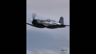 Chance Vought F4U Corsair Lowpass vintageaircraft avgeek fighter aviation avgeek [upl. by Mackenie]