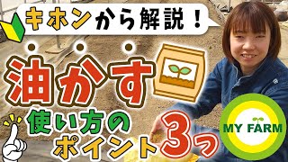 【油かすの使い方】家庭菜園でどう使う？初心者の方向けに基本から解説します！│かっちゃんの有機栽培ｺｰｻﾞ [upl. by Llenna672]