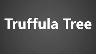 How To Pronounce Truffula Tree [upl. by Akirej]