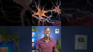 Do humans grow new brain cells after childhood Truth or Trash ep 39 biology [upl. by Adnilrem171]