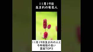 11月19日生まれの有名人と相性が良い星座TOP3 shorts 占星術 恋愛運 星座占い [upl. by Ekusoyr]