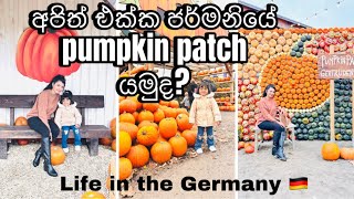 ජර්මනියේ pumpkin patchහරිම ලස්සන දවසක් Erlebnisbauernhof Gertrudenhofköln [upl. by Cogan998]