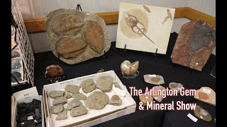 Arlington Gem amp Mineral Show [upl. by Boris]