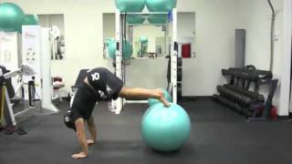 Killer Abs Exercise  Pike Roll Out on Fitness Ball [upl. by Rodolfo525]