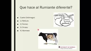 Curso Básico Nutrición en Rumiantes MULTIMIN [upl. by Parsons]