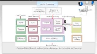 Dual Channel LearningRichard Mayer [upl. by Ellenhoj137]