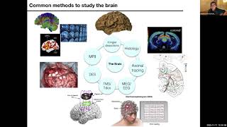 Fundamentals of Human Neuropsychology undergraduate lecture [upl. by Consalve]