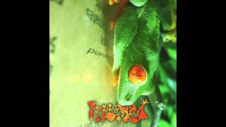 Phyllomedusa  Greenhand Full Album [upl. by Ozen]