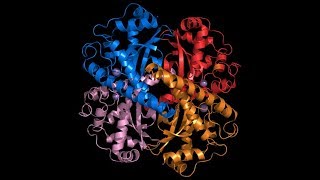 10 interesting facts about superoxide dismutase SOD [upl. by Afatsuom947]