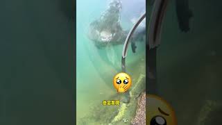 可怕的海洋隧道 😱 [upl. by Aitercal613]