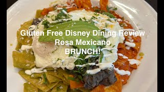 Rosa Mexicano Brunch Gluten Free Disney Dining Review [upl. by Waldos]