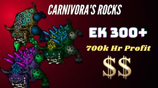 Tibia Hunt l EK 300 700K Hr Profit l Carnivoras Rocks Port Hope [upl. by Eirojam]