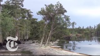 Sinkhole in Louisiana Swallows Trees  Caught on Tape 2013  The New York Times [upl. by Dnalkrik]