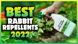 Top 5 Best Rabbit Repellents You can Buy Right Now 2023 [upl. by Yhtamit538]