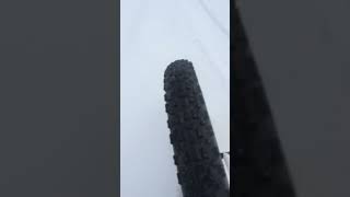 DIY Fat Bike Ski First Test [upl. by Nacim]