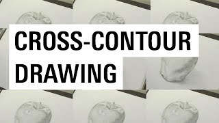 How to Cross Contour Draw with an Apple  Otis College of Art and Design [upl. by Attelliw384]