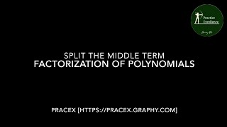 Learn to Factorize Polynomials StepbyStep Splitting the Middle Term Technique [upl. by Habas]