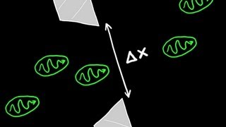 Heisenbergs Uncertainty Principle Explained [upl. by Haynes]