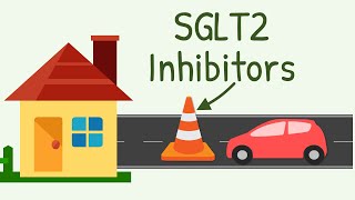 SGLT2 Inhibitors Mechanism of Action [upl. by Debby]