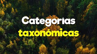 Categorías taxonómicas [upl. by Milty]