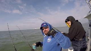 Sea Fishing UK  Spurdogs Rays Congers [upl. by Acinoj460]