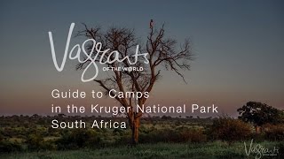 A Guide to Kruger National Park Camps [upl. by Sirrah]