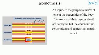 axonotmesis [upl. by Aidnac]