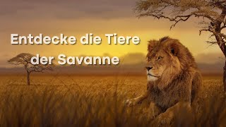 Entdecke die Tierwelt der Savanne  Discover the Animals of the Savannah [upl. by Kerr]