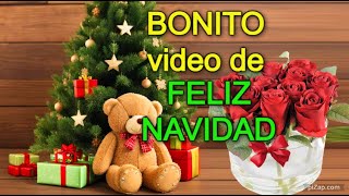 🌲Un BONITO mensaje de NAVIDAD🦋 Feliz Navidad y Prospero año nuevo Familia amigos frases [upl. by Combes954]