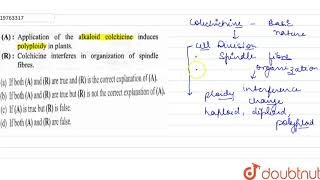 Application of the alkaloid colchicine induces polyploidy in plants Colchicine interferes in org [upl. by Odette]