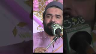 Hammad By Hafiz Ali Islam Naqabat  Islamic Record [upl. by Notsew]