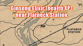 Ginseng Elixir Near Flatneck Station Red Dead Redemption 2 RDR2 [upl. by Vogel]