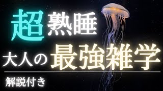 【5分で寝落ち・睡眠用】タメになる大人の雑学 [upl. by Persis570]