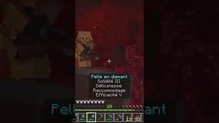 EMBUSCADE DES PIGLINS  🐷 minecraft [upl. by Bonny439]