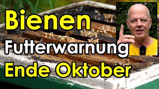 Futterwarnung Bienen Ende Oktober  letzte Arbeiten am Bienenvolk [upl. by Iliak]