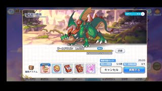 Princess Connect re diveJP Dungeon EX3 Level 70 Fight  2 Team [upl. by Jakob588]