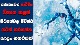 quotShanghai Fortressquot සිංහල Movie Review  Ending Explained Sinhala  Sinhala Movie Review [upl. by Enelie213]