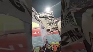 Riminese terun  Coro sfottò ultras Cesena FC ⚽️ Curva Mare Cesena ⚪️⚫️ [upl. by Yedoc]