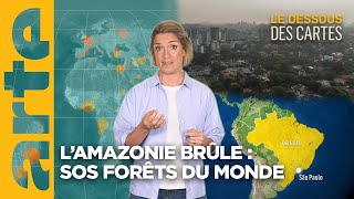 L’Amazonie brûle  sos forêts du monde  Lessentiel du Dessous des Cartes  ARTE [upl. by Leandre]