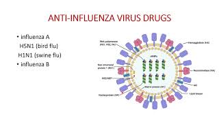 Pharmacology of Anti Viral drugs Non Retro Viral [upl. by Yirinec]