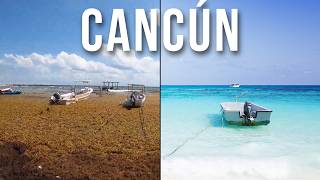 SARGAZO EN CANCÚN  ¿Qué hacer [upl. by Deborah]