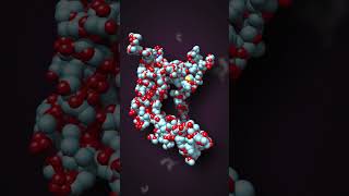 How do scientists make movies of atomic reactions slacexplains xfel atomicmovies lcls [upl. by Eniamirt]