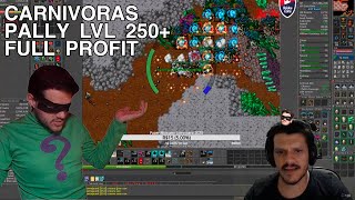 Tibia  Pally lvl l250 Carnivours Rock  FULL PROFIT [upl. by Nilekcaj]