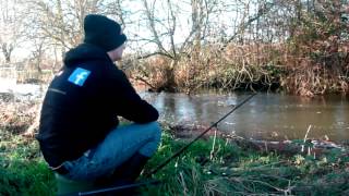 chub fishing stour [upl. by Schild]