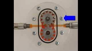 Learn Hydraulics External gear motor [upl. by Rabkin137]