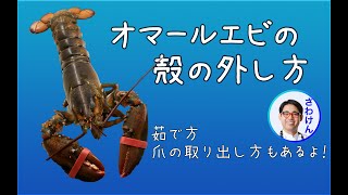 解説！オマール海老（ロブスター）の殻のむき方＆爪の割り方。Comment découper du homard [upl. by Ainekahs]