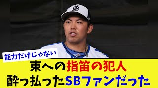 日本シリーズ第3戦DeNA東「わざと吹いていた。僕たちは人生をかけている」【なんJ プロ野球反応集】【2chスレ】【5chスレ】 [upl. by Almap]