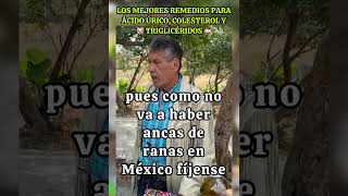 LOS MEJORES REMEDIOS DEL PADRE para ácido úrico colesterol y 🐷 triglicéridos 🐖 [upl. by Sorac]
